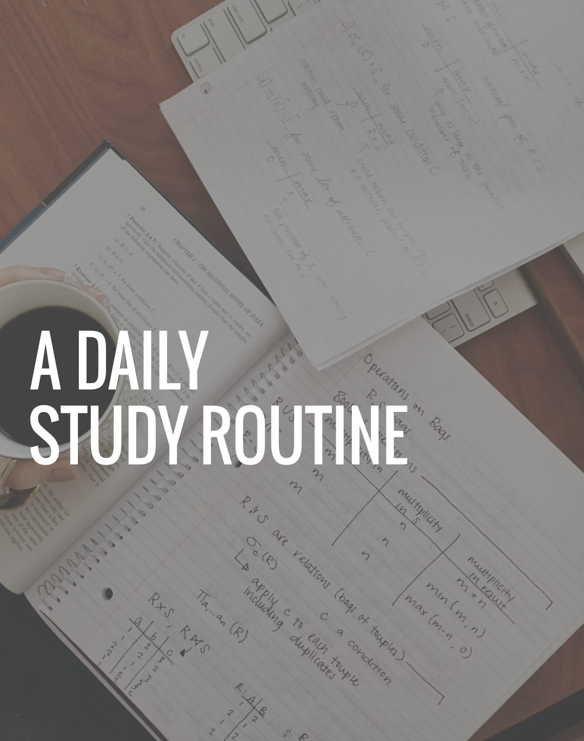 Routine Of Study